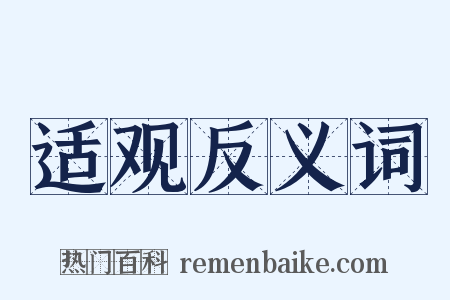 适观反义词是什么意思的图片